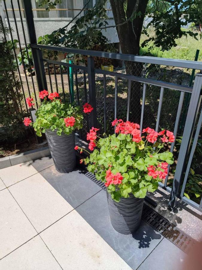 Apartament Kali Ahtopol Buitenkant foto